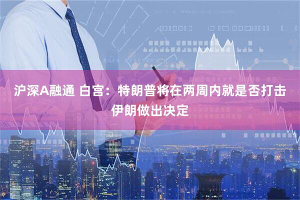 沪深A融通 白宫：特朗普将在两周内就是否打击伊朗做出决定